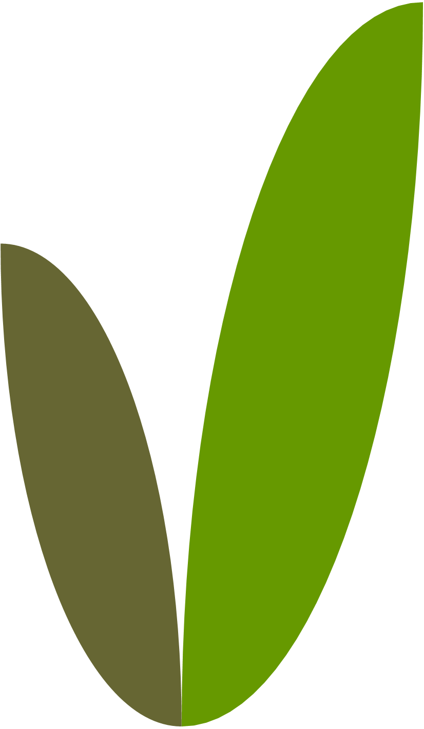 VanillaDB Logo